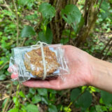 2026年節分 開運イベント