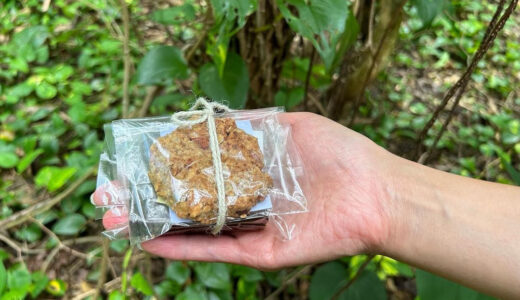 下のソーシャルリンクからフォロー