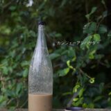 捨てられているのに、こんなに豊かなの？カシジェーアンバサダーになりました