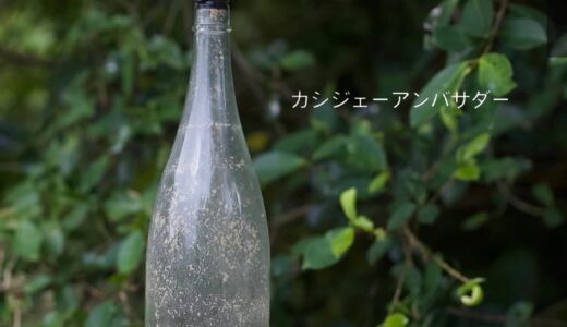 下のソーシャルリンクからフォロー