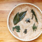 日本茶って、もっと自由でいい。フランス人ソムリエに教わったこと
